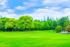 parques-montanas-reflexion-montana-decoracion-jardin_1417-1025